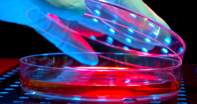 analyses physico - chimiques