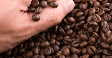 quality control - controle quality