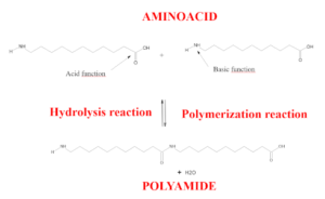 Arkema-DOP-Polymerisation suivi en ligne de procédés de polymérisation