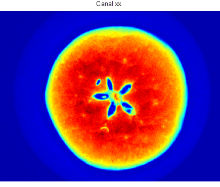 Formation imagerie hyperspectrale Formation analyse d'image hyperspectrale