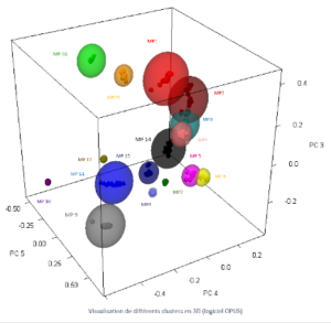 Identiifcation MP par SPIR Identification de Matières Premières par Spectroscopie