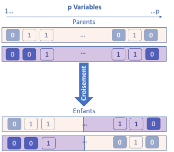 Algorithmes génétiques Algorithmes génétiques