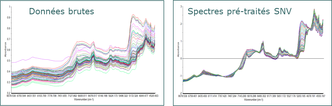 pré-traitements spectroscopiques Pré-traitements spectroscopiques