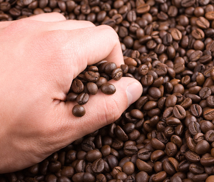 identification matières premières idenftification - authentification